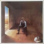 LP gebruikt - Don McLean - Homeless Brother, Verzenden, Zo goed als nieuw