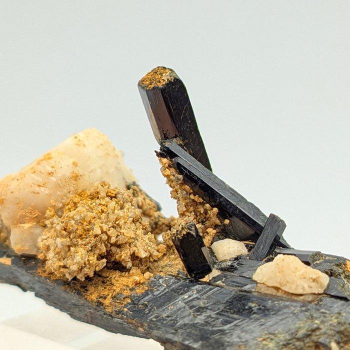 AEGIRINA NERA Glanzend op MICROCLINO Wit, Malawi Kristalen -, Verzamelen, Mineralen en Fossielen