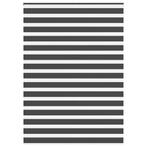 vidaXL Zebra rolgordijn 165x200 cm stofbreedte 160,9 cm, Verzenden, Nieuw, Zwart
