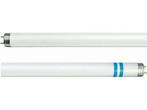 Philips Master TL-D Secura 18 watt, Ophalen of Verzenden, Nieuw