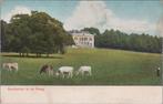 DE STEEG - Sanatorium te de Steeg, Verzamelen, Ansichtkaarten | Nederland, Verzenden, Gelopen