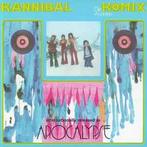 cd - Die Anderen - Kannibal Komix, Verzenden, Zo goed als nieuw