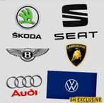 Verborgen Functies VAG Activeren Audi VW Seat Skoda CODING, Auto diversen