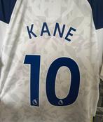 Tottenham Hotspurs - Engelse voetbalcompetitie - Harry Kane, Nieuw