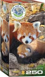 Red Pandas Puzzel (250 stukjes) | Eurographics - Puzzels, Hobby en Vrije tijd, Denksport en Puzzels, Nieuw, Verzenden