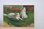 Europese school (XX) - Cats