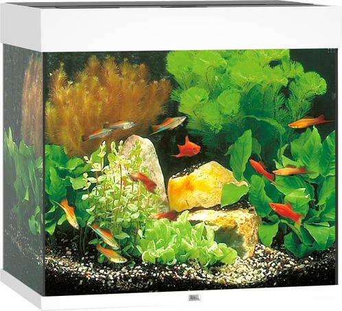 Lido 120 LED Wit, Dieren en Toebehoren, Vissen | Aquaria en Toebehoren, Nieuw, Ophalen of Verzenden