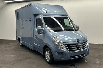 Renault Master  Horsetruck beschikbaar voor biedingen