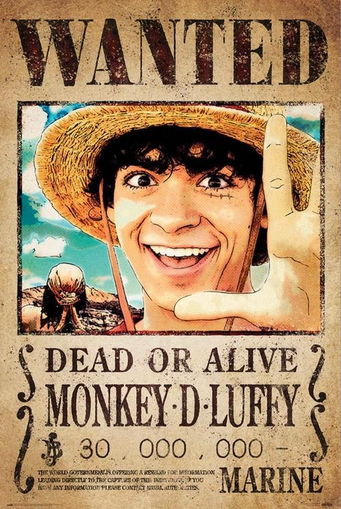 Poster One Piece Netflix Wanted Monkey D Luffy 61x91,5cm, Verzamelen, Posters, Nieuw, A1 t/m A3, Verzenden