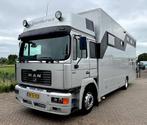 Veiling: paardenwagen MAN 19 -314 (Marge), Overige brandstoffen, Overige merken