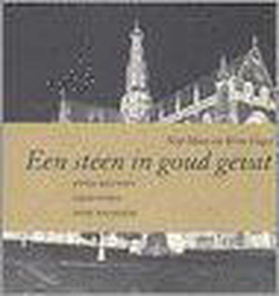 Een steen in goud gevat 9789066130104 Nop Maas, Boeken, Literatuur, Gelezen, Verzenden