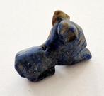 Bactrisch of Sino-Siberisch Lapis Lazuli XXS Liggende Hond