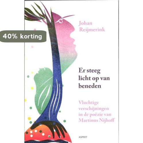 Er steeg licht op van beneden 9789461531070 Johan Reijmerink, Boeken, Overige Boeken, Zo goed als nieuw, Verzenden