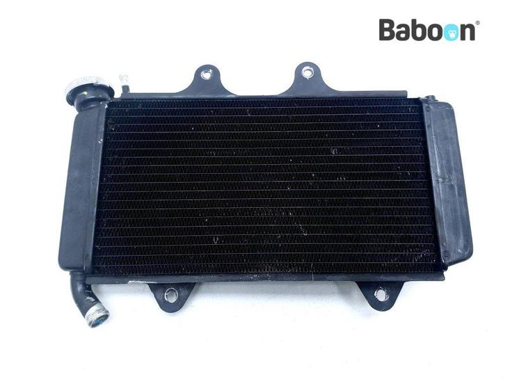 Radiateur KTM 390 RC 2019, Motoren, Onderdelen | Overige, Gebruikt, Verzenden