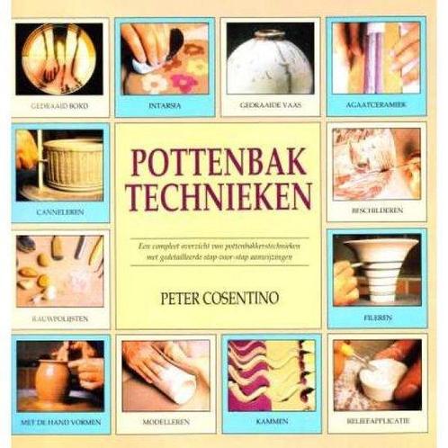 Pottenbak Technieken 9789057640865, Boeken, Hobby en Vrije tijd, Gelezen, Verzenden