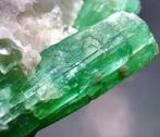 Ct. 429.0 Cluster van smaragd op matrix Exemplaar - Hoogte:, Verzamelen, Mineralen en Fossielen