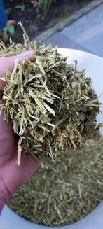 Luzerne plus balen 20kg, 4 paarden of pony's of meer