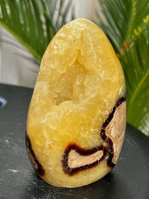 Septaria Wild Yellow Crystals Fine Wild Septaria Yellow, Verzamelen, Mineralen en Fossielen