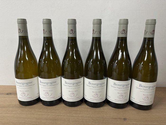 2023 Guffens-Heynen, Bourgogne Blanc Jeunes Vignes et, Verzamelen, Wijnen
