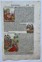 Hartmann Schedel / Michael Wolgemut/ Wilhelm Pleydenwurff -