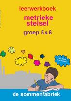 9789082328370 Metrieke stelsel groep 5  6 Leerwerkboek, Verzenden, Nieuw, Liesbeth van der Plas