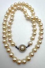 Halsketting - 14 karaat Witgoud Parel - Akoya parelketting, Sieraden, Tassen en Uiterlijk, Kettingen, Nieuw