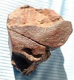 Chondriet Chondrite meteoriet - 315 g - (1), Verzamelen, Mineralen en Fossielen
