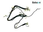 Kabelboom Kawasaki LTD 305 (LTD305), Motoren, Onderdelen | Kawasaki, Verzenden, Gebruikt