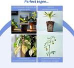 2dekans | a sunny day LED groeilamp - grow light - kweeklamp, Tuin en Terras, Kweekspullen, Ophalen of Verzenden, Zo goed als nieuw