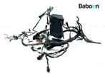 Kabelboom BMW R 850 R 1994-2001 (R850R 94) (2306513), Verzenden, Gebruikt