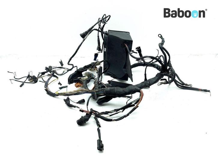 Kabelboom BMW R 850 R 1994-2001 (R850R 94) (2306513), Motoren, Onderdelen | BMW, Gebruikt, Verzenden