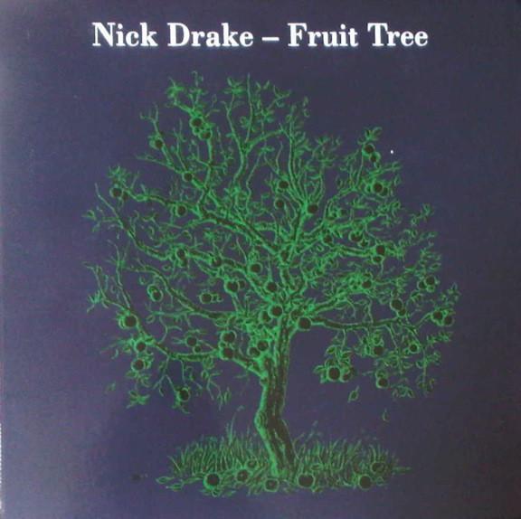 lp box - Nick Drake - Fruit Tree, Cd's en Dvd's, Vinyl | Rock, Zo goed als nieuw, Verzenden