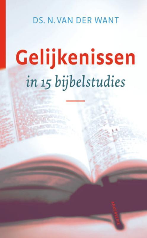 Gelijkenissen 9789058299130 N. van der Want, Boeken, Godsdienst en Theologie, Zo goed als nieuw, Verzenden
