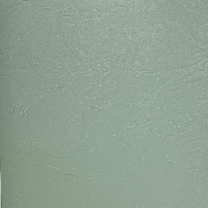 PVC Wandpaneel - Afimera - Effen Mintgroen Mat 280x120x0.3cm, Huis en Inrichting, Woonaccessoires | Wanddecoraties, Nieuw, Ophalen of Verzenden