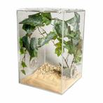 Insecten Terrarium, Dieren en Toebehoren