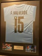 Uruguay - Wereldkampioenschap Voetbal - Federico Valverde -, Nieuw