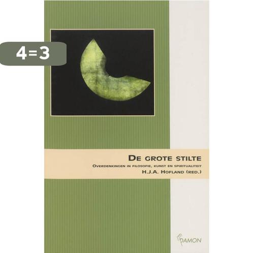 De grote stilte 9789055738144, Boeken, Filosofie, Gelezen, Verzenden