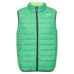 -69% Regatta  Regatta Heren marizion gewatteerd gilet  maat, Kleding | Heren, Verzenden, Nieuw, Groen