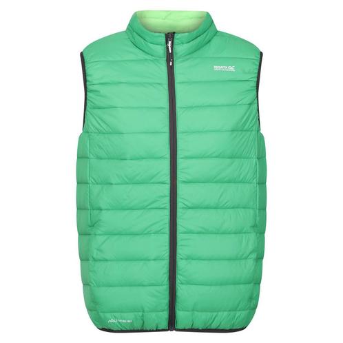 -69% Regatta  Regatta Heren marizion gewatteerd gilet  maat, Kleding | Heren, Bodywarmers, Groen, Nieuw, Verzenden