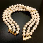 Zonder minimumprijs - Armband - 18 karaat Geel goud Parel, Nieuw