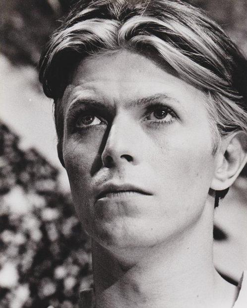 David James - David Bowie The Man Who Fell From Earth,, Antiek en Kunst, Kunst | Schilderijen | Modern