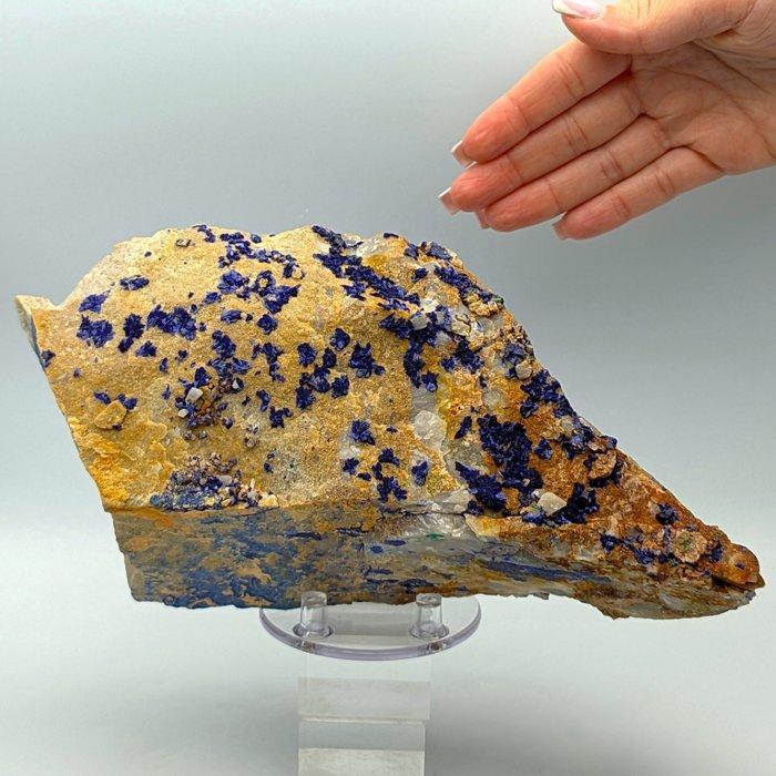 AZZURRITE met OLIVENITE en MALACHITE, 26 cm, Frankrijk, Verzamelen, Mineralen en Fossielen