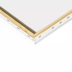 Maaleo Schilderen op Nummer: Creëer je Eigen Kitten Kunst.., Hobby en Vrije tijd, Ophalen of Verzenden, Nieuw