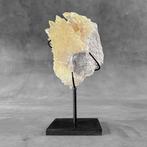Decoratief ornament - NO RESERVE PRICE - A pair of