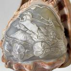 Cypraecassis Rufa Ventral - Lamp - Brons, Schelp