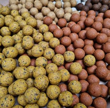 Boilies | Bloodworm, Tijgernoot, Scopex, Tuna - Bulk prijzen beschikbaar voor biedingen