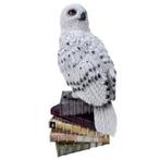 Hedwig beeld | Harry Potter | 44 cm (Kunststof), Verzenden, Nieuw