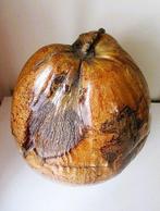 Ijsemmer - Hout - Huls van cocosnoot