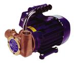 JABSCO ALGEMENE DIENST (UTILITY) POMP 53040, Watersport en Boten, Ophalen of Verzenden, Nieuw, Zeilboot of Motorboot