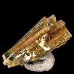 Hoogwaardige polychrome toermalijn in een tweelingformatie,